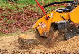 Best Lawn Renovation and Restoration  in Ashwaubenon, WI