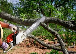 Best Seasonal Cleanup (Spring/Fall)  in Ashwaubenon, WI