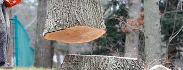 Best Firewood Processing and Delivery  in Ashwaubenon, WI
