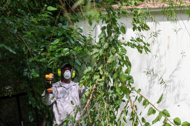 Best Tree Risk Assessment  in Ashwaubenon, WI